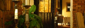 inside-candle-plant.jpg